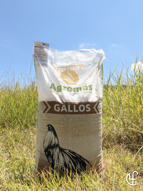 Gallo 18 Invencible - Natural (25 KG.)