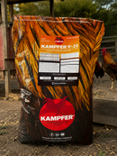 KAMPFER F-20