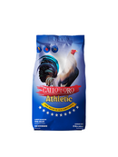 Gallo de Oro Athletic