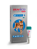 Bravecto plus cat