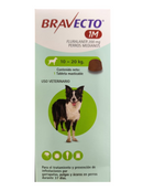 Bravecto 1 - perro