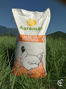 Desarrollo Pollo (25 KG.)