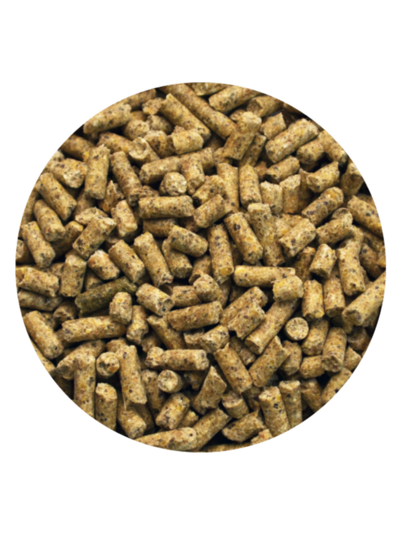 Gallo de Oro Pellet - Desarrollo y Mantenimiento