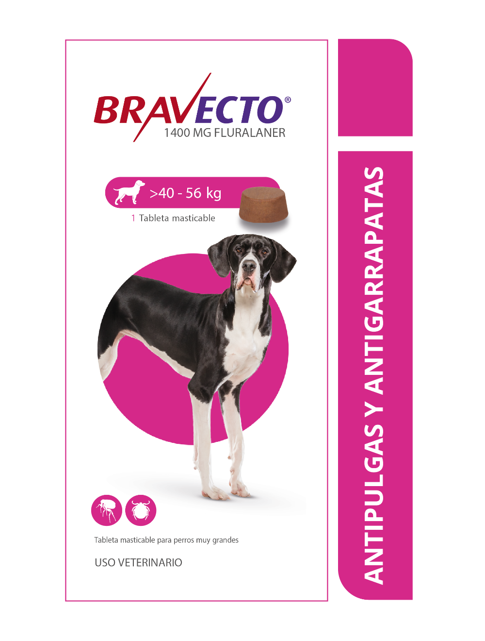 PPT - Perros PowerPoint Presentation, free download - ID:4938994, image size:1000x1320