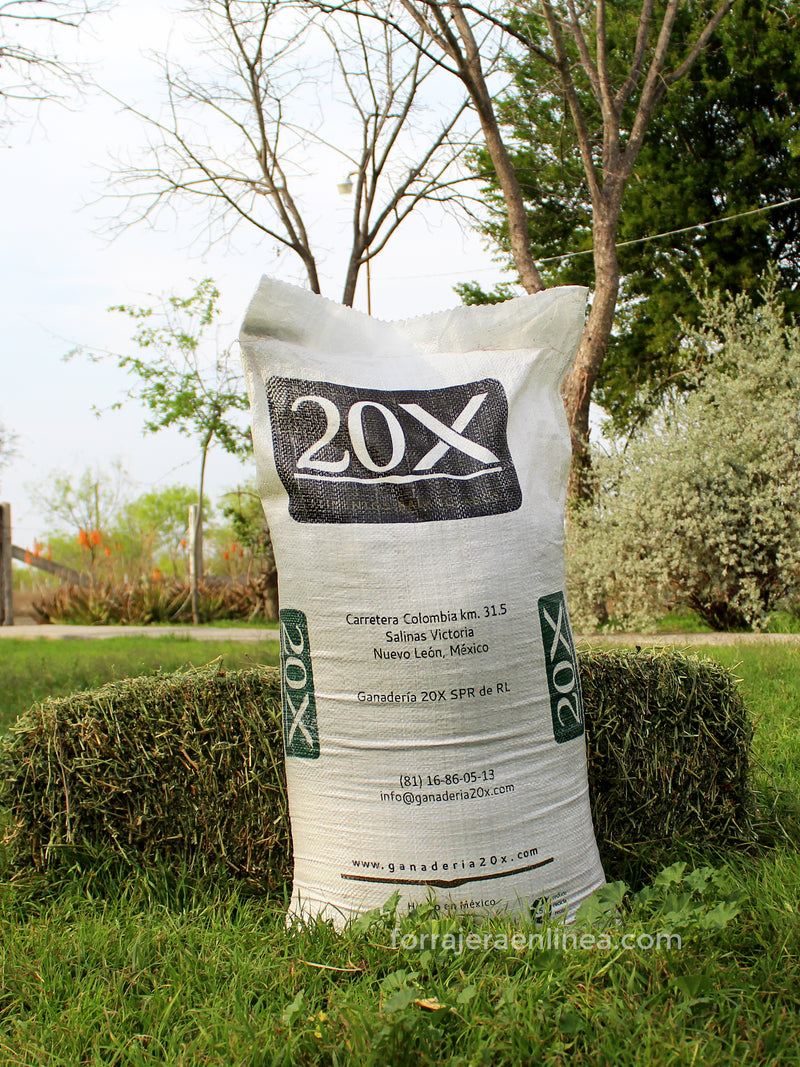 Suplemento Equino 20X (25 KG.)