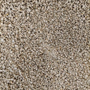 Desarrollo Pollo (25 KG.)