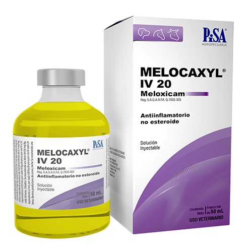 Melocaxyl IV 20 (50 ml.)