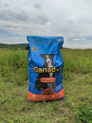 Ganador cachorro (4 KG - 20 KG.)