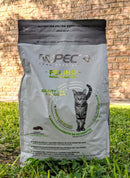 Felino Adulto Indoor