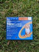 NEXGARD SPECTRA
