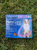 NEXGARD SPECTRA