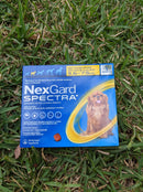 NEXGARD SPECTRA