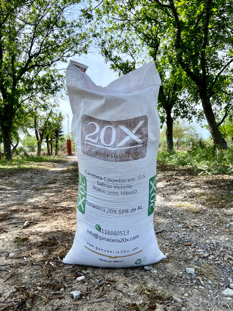 Alimento de mantenimiento 20X (25 KG)